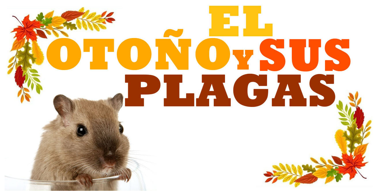 EL OTOÑO Y SUS PLAGAS
