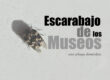 escarabajo de los museos