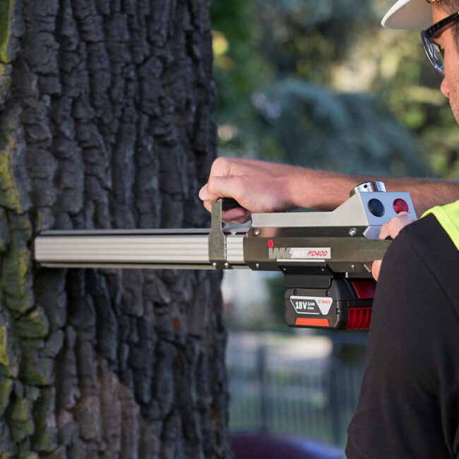 resistografo - denor