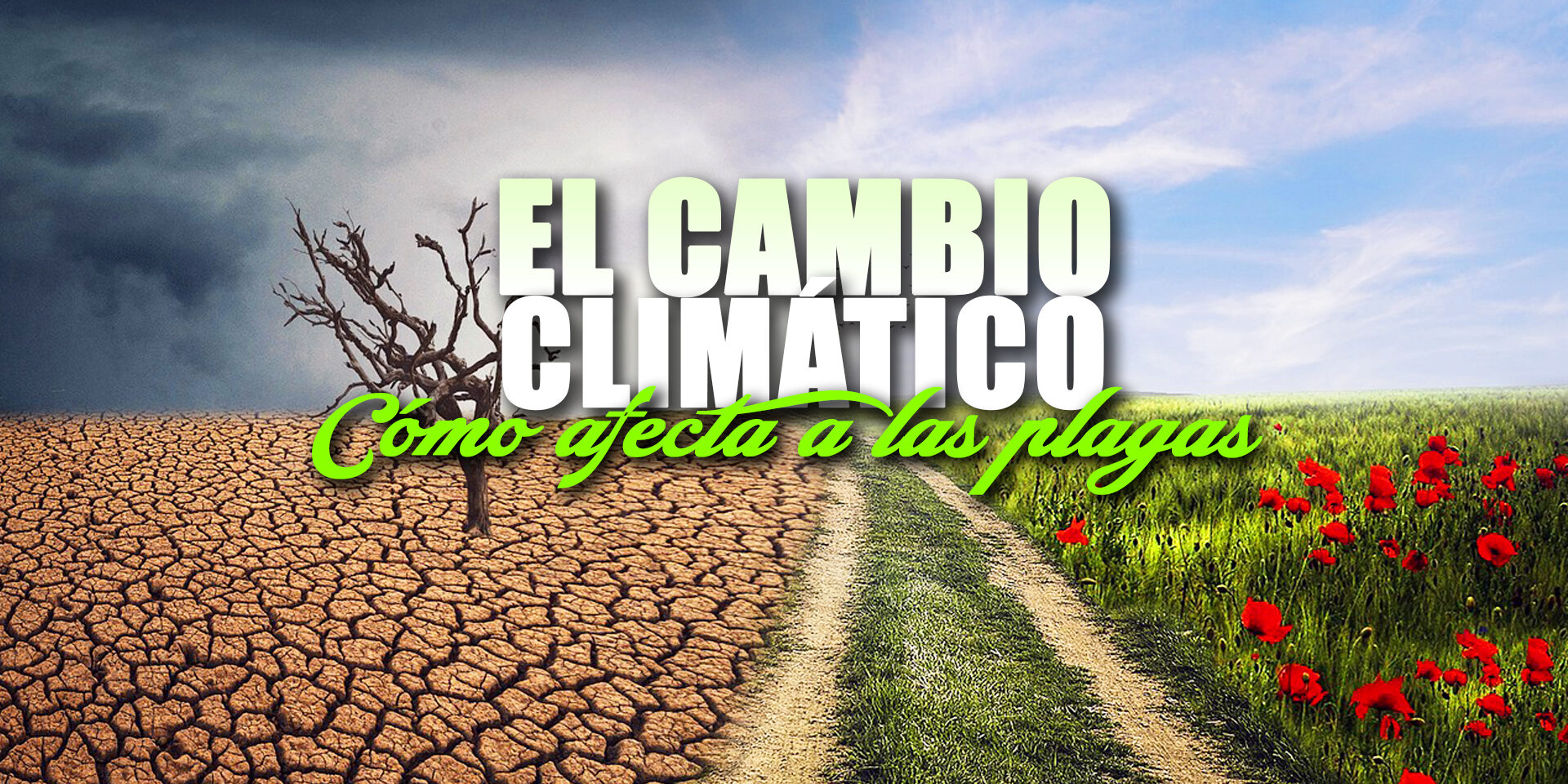 EL CAMBIO CLIMATICO