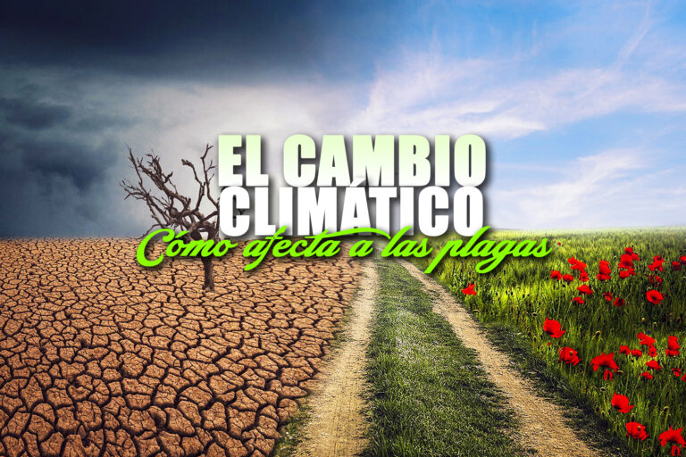 EL CAMBIO CLIMATICO
